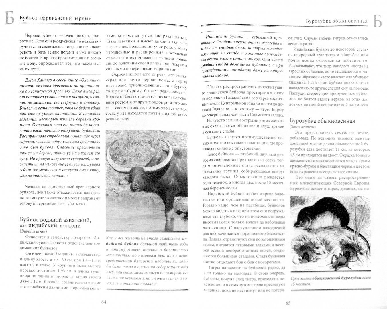 Иллюстрация 1 из 8 для Жизнь животных. В 10 томах. Том 1. Млекопитающие. А-Г - Альфред Брем | Лабиринт - книги. Источник: Лабиринт