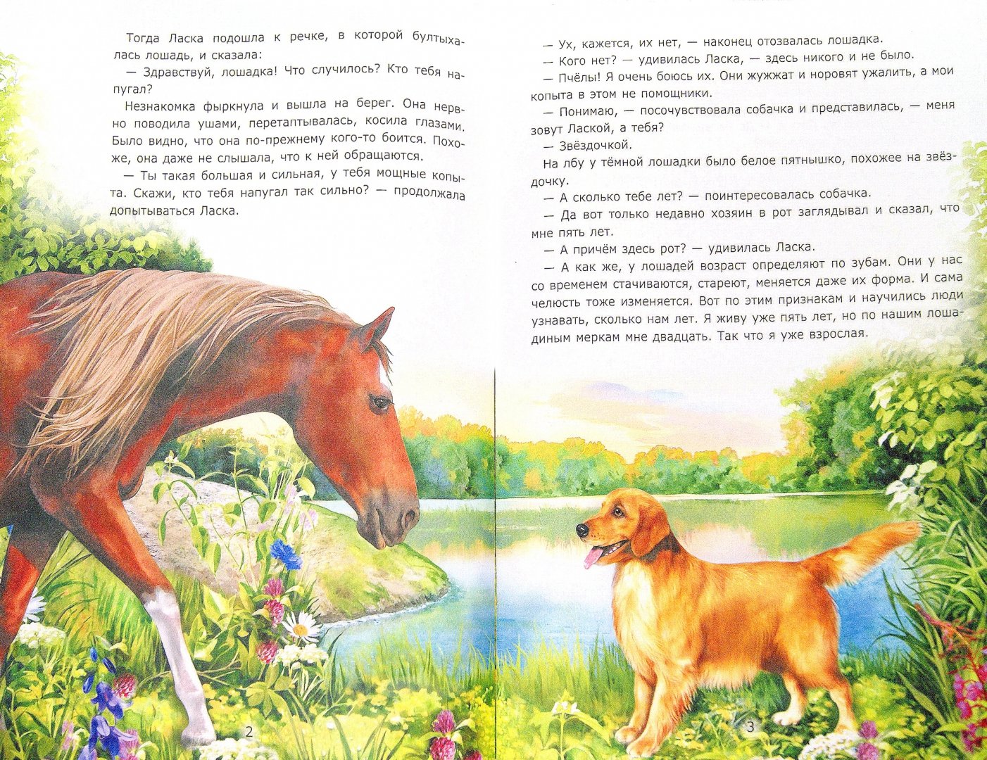 Иллюстрация 1 из 6 для Ласка и Звездочка - Лариса Тарасенко | Лабиринт - книги. Источник: Лабиринт