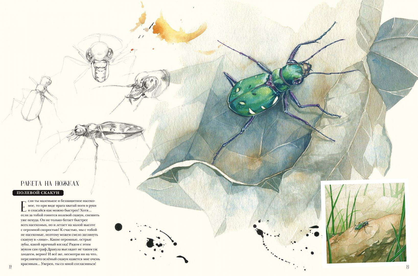 Иллюстрация 5 из 127 для Музей живых насекомых - Франсуа Лассерр | Лабиринт - книги. Источник: Лабиринт