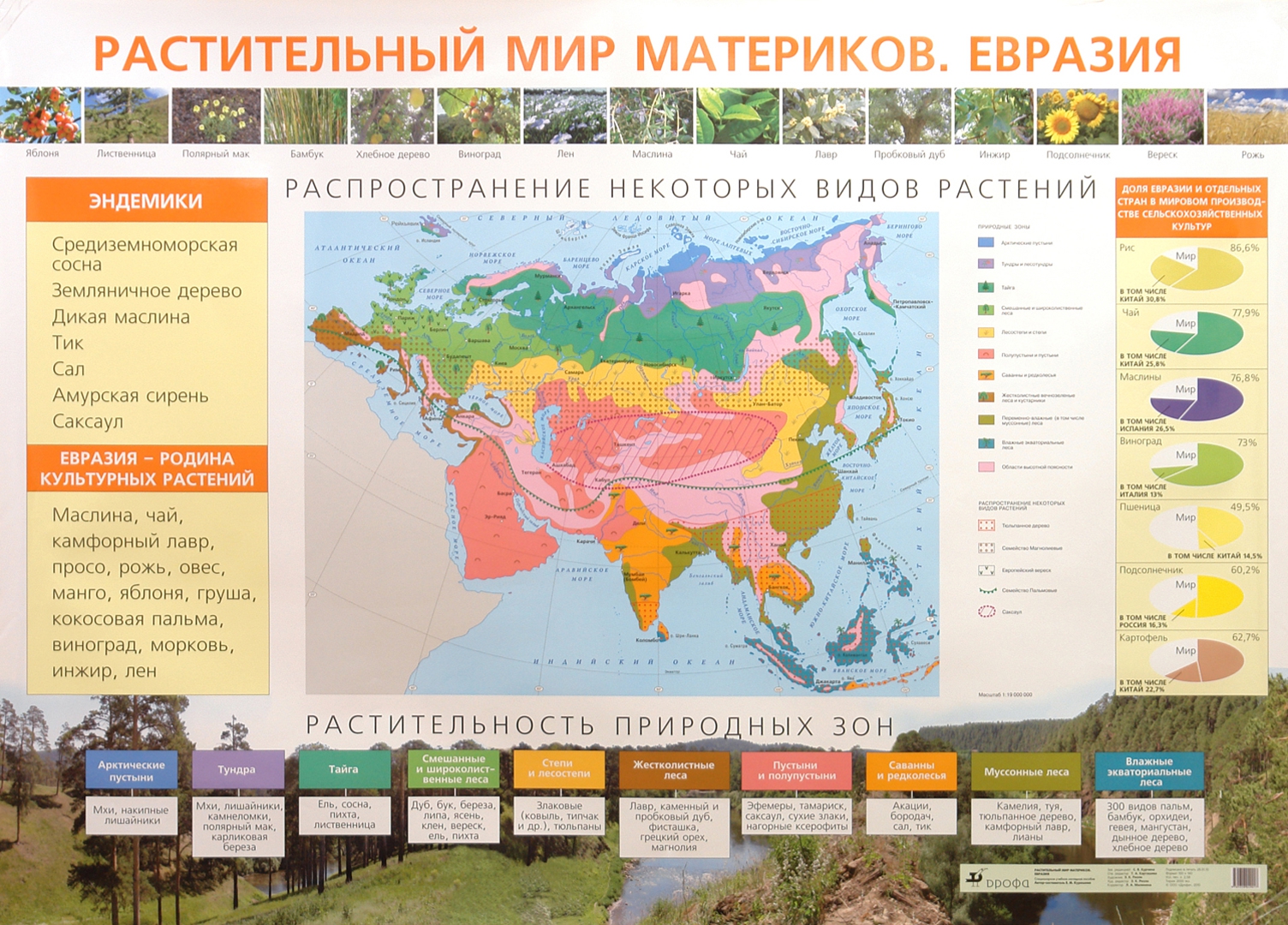 Растительный мир евразии картинки