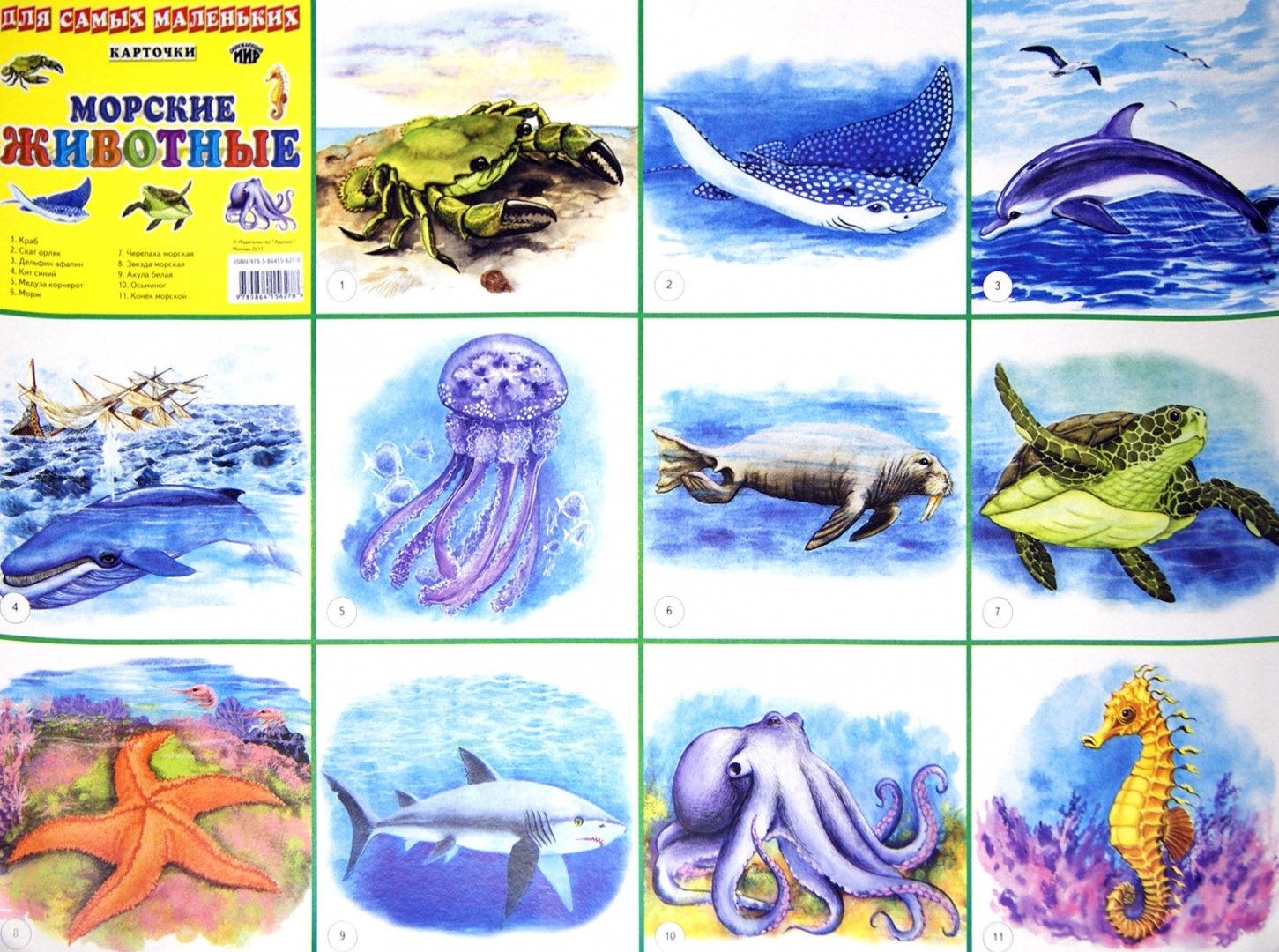 Иллюстрация 1 из 3 для Плакат "Морские животные" (50х70 см) | Лабиринт - книги. Источник: Лабиринт