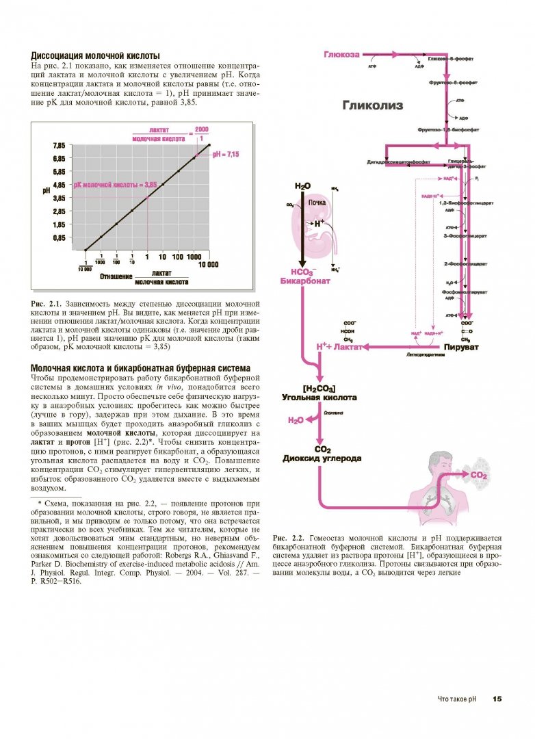 Иллюстрация 7 из 26 для Наглядная медицинская биохимия - Дж. Солвей | Лабиринт - книги. Источник: Лабиринт