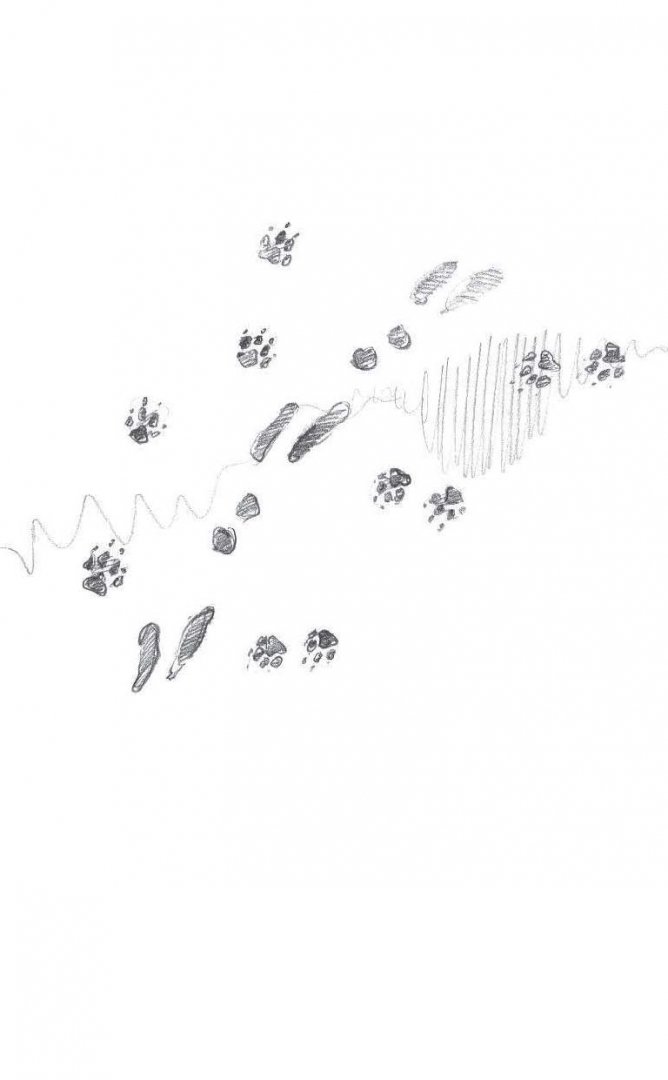 Иллюстрация 3 из 14 для О смешных зайчиках - Бианки, Сладков, Пришвин | Лабиринт - книги. Источник: Лабиринт