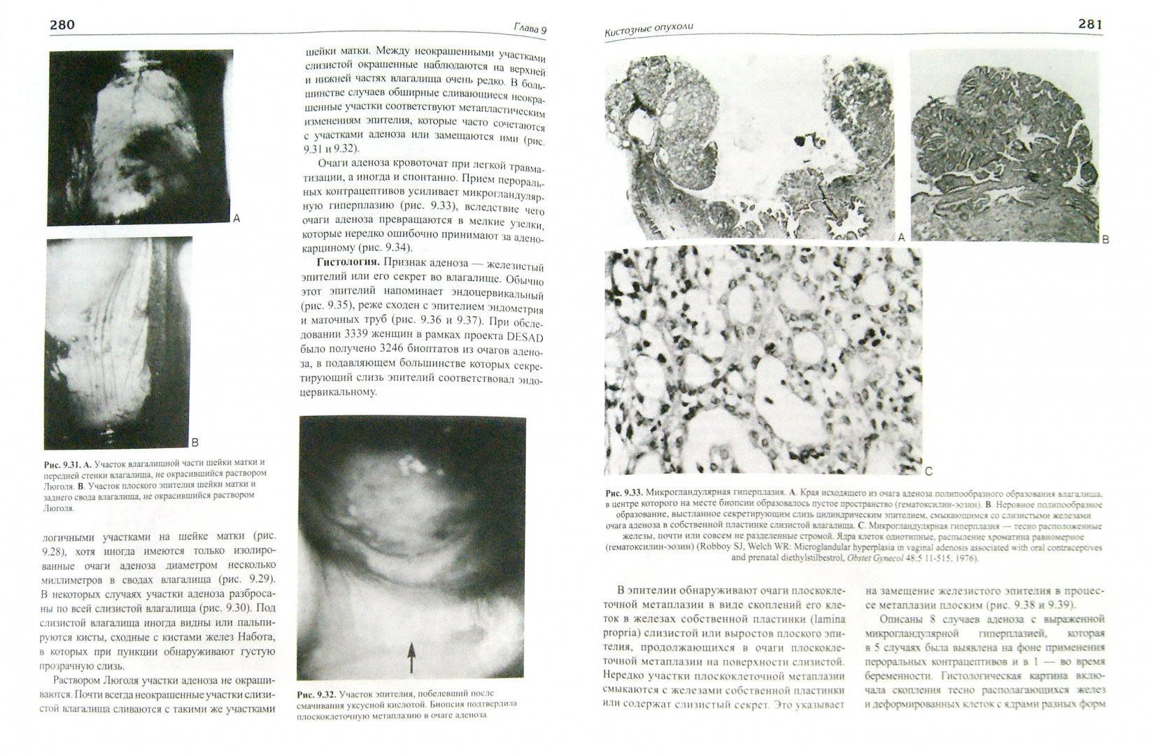Иллюстрация 1 из 4 для Доброкачественные заболевания вульвы и влагалища - Кауфман, Браун, Фаро | Лабиринт - книги. Источник: Лабиринт