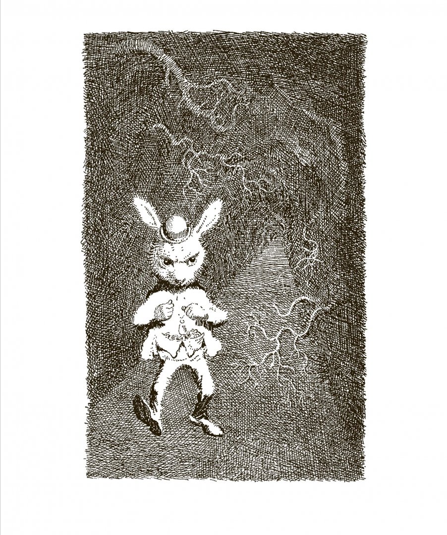 Иллюстрация 5 из 32 для Приключения Алисы в Стране чудес - Льюис Кэрролл | Лабиринт - книги. Источник: Лабиринт