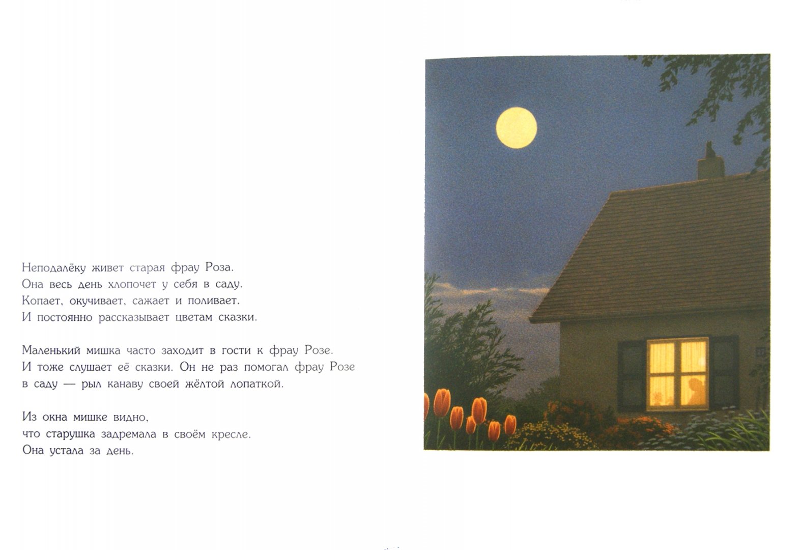 Иллюстрация 1 из 42 для Сладких снов, маленький медвежонок - Кинт Буххольц | Лабиринт - книги. Источник: Лабиринт