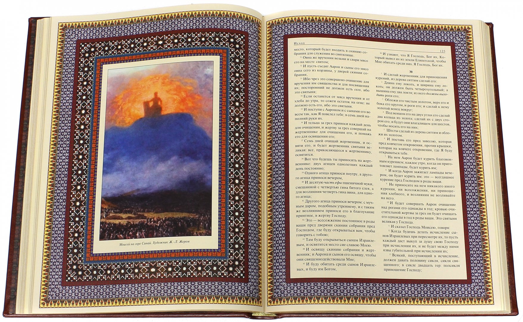 Иллюстрация 1 из 13 для Иллюстрированная Библия (кожа) | Лабиринт - книги. Источник: Лабиринт