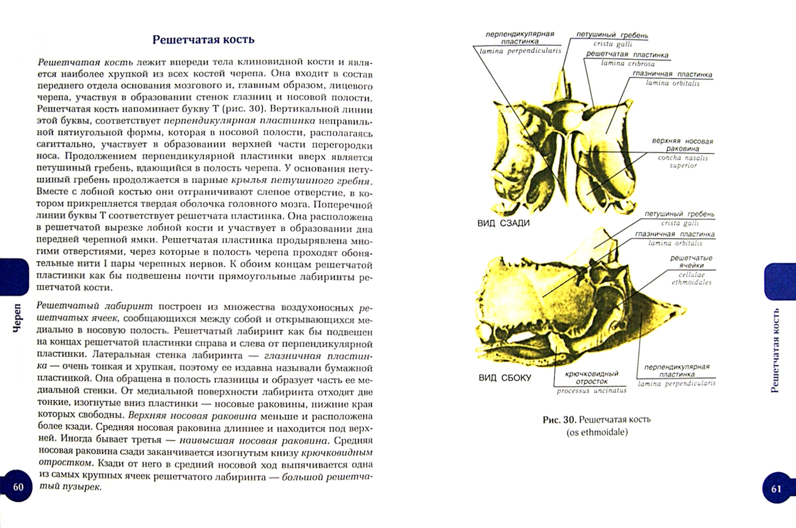 Иллюстрация 1 из 9 для Костная система человека - Билич, Крыжановский, Зигалова | Лабиринт - книги. Источник: Лабиринт