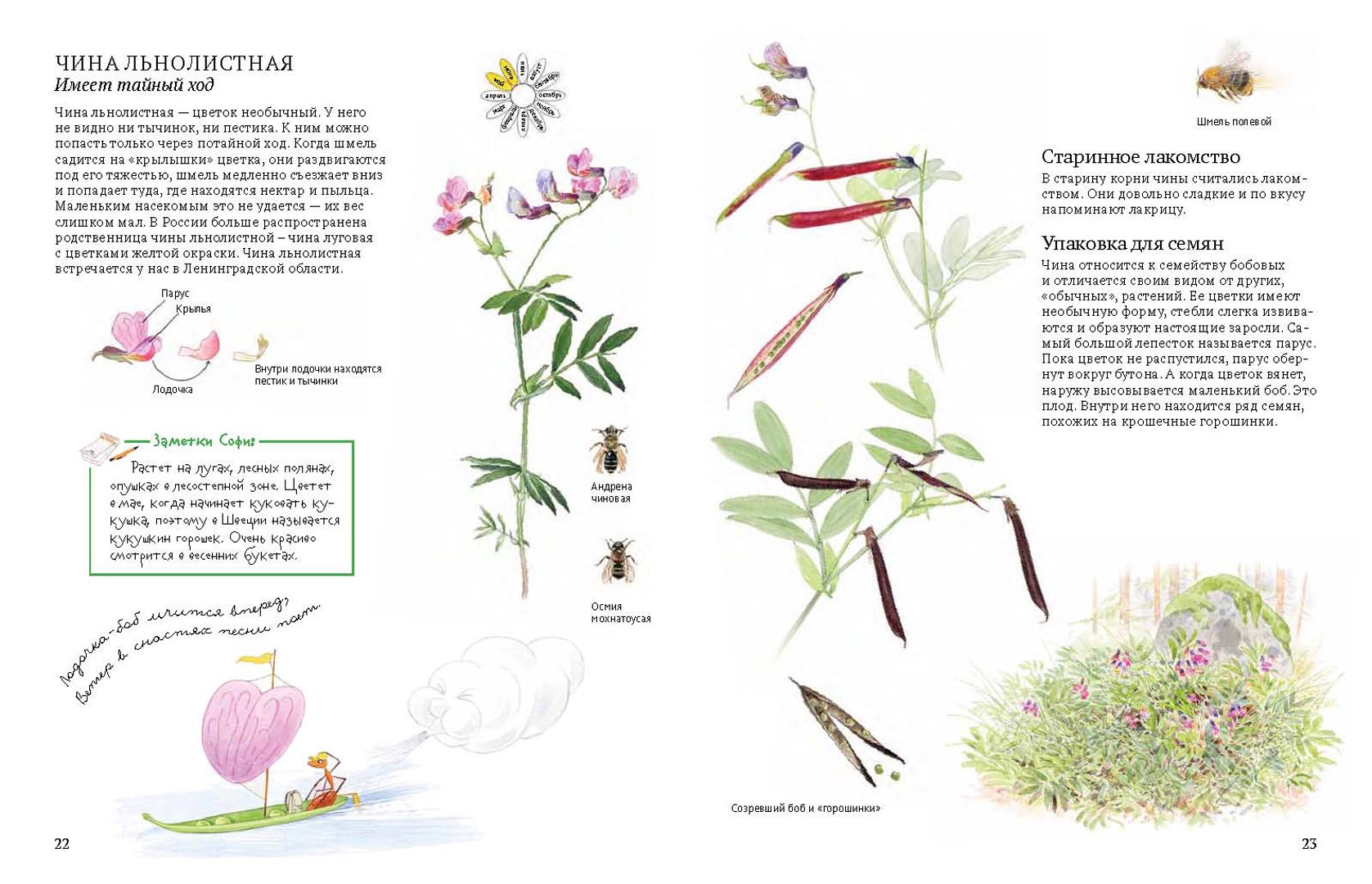 Иллюстрация 4 из 54 для Софи в мире цветов - Стефан Каста | Лабиринт - книги. Источник: Лабиринт