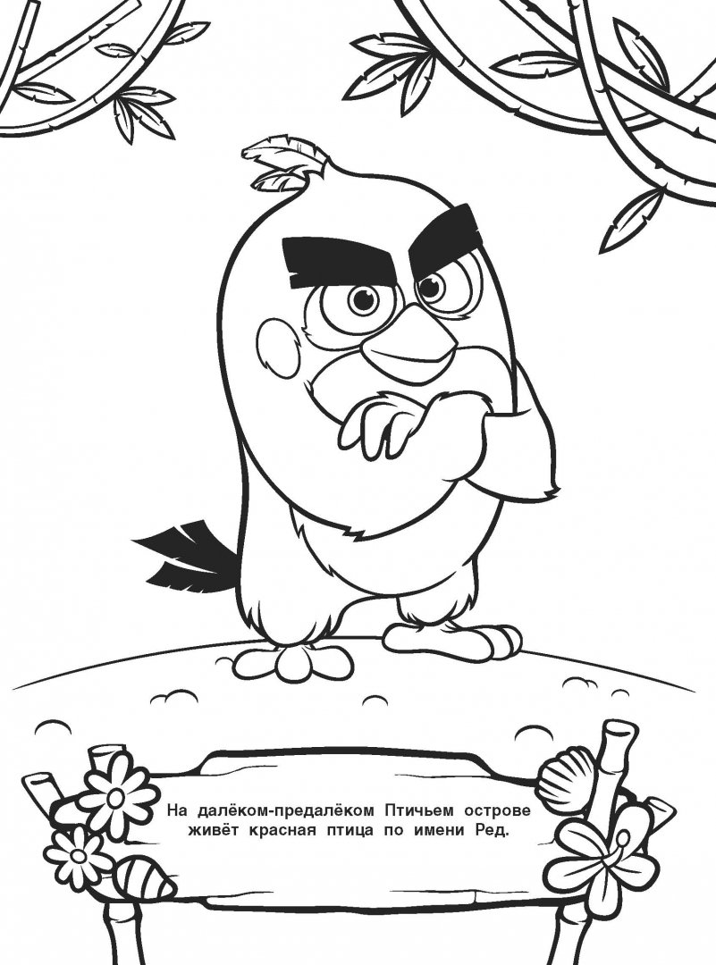 Иллюстрация 1 из 2 для Angry Birds. Раскраска | Лабиринт - книги. Источник: Лабиринт