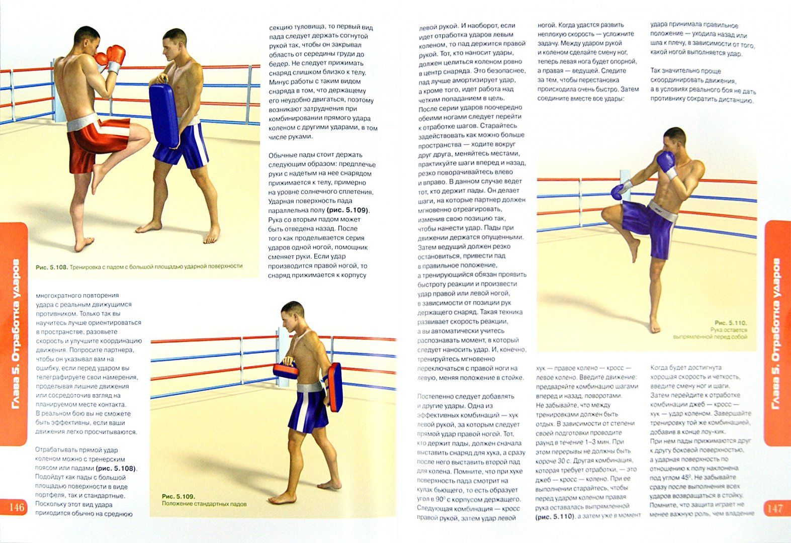 Иллюстрация 1 из 16 для Тайский бокс. Книга-тренер - Дмитрий Шегрикович | Лабиринт - книги. Источник: Лабиринт