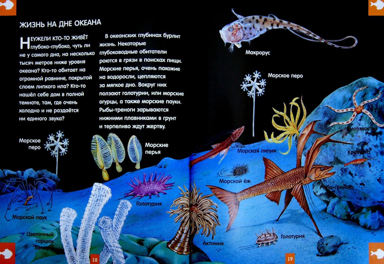 Иллюстрация 1 из 24 для Светящаяся книга о подводном мире - Николас Харрис | Лабиринт - книги. Источник: Лабиринт