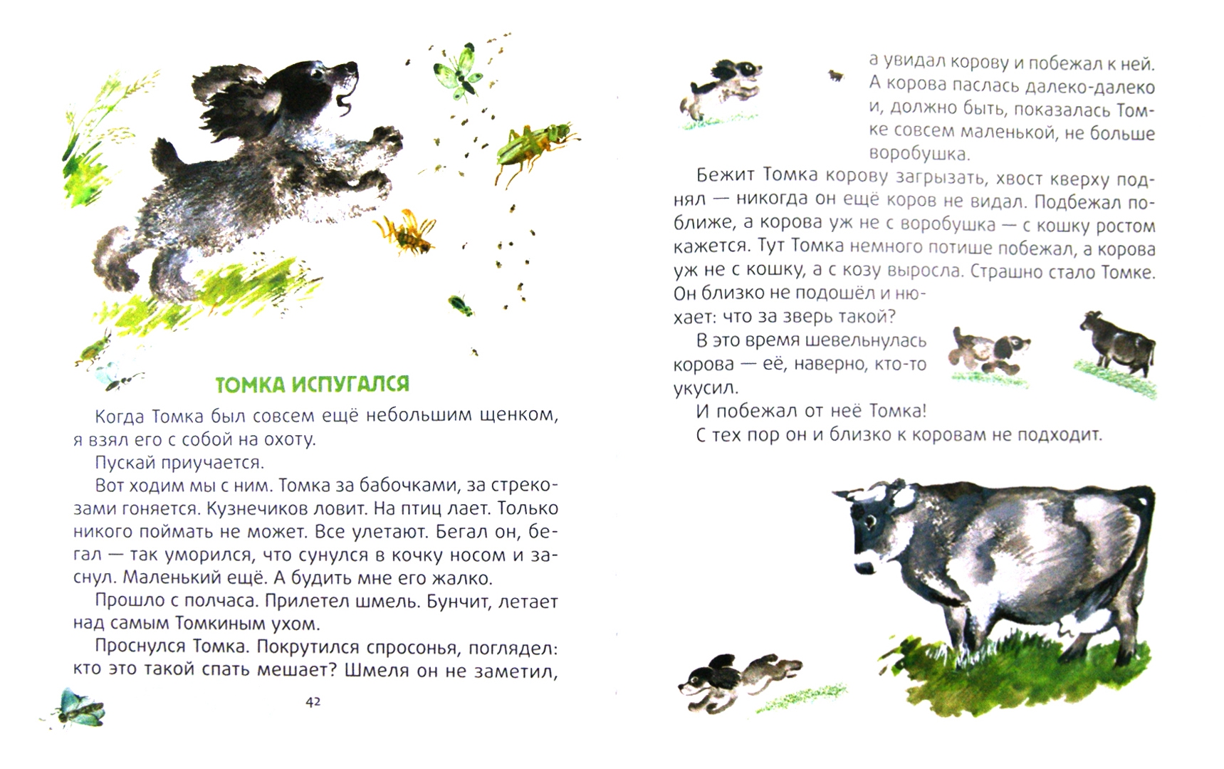 Иллюстрация 1 из 16 для Тюпа, Томка и Сорока - Евгений Чарушин | Лабиринт - книги. Источник: Лабиринт
