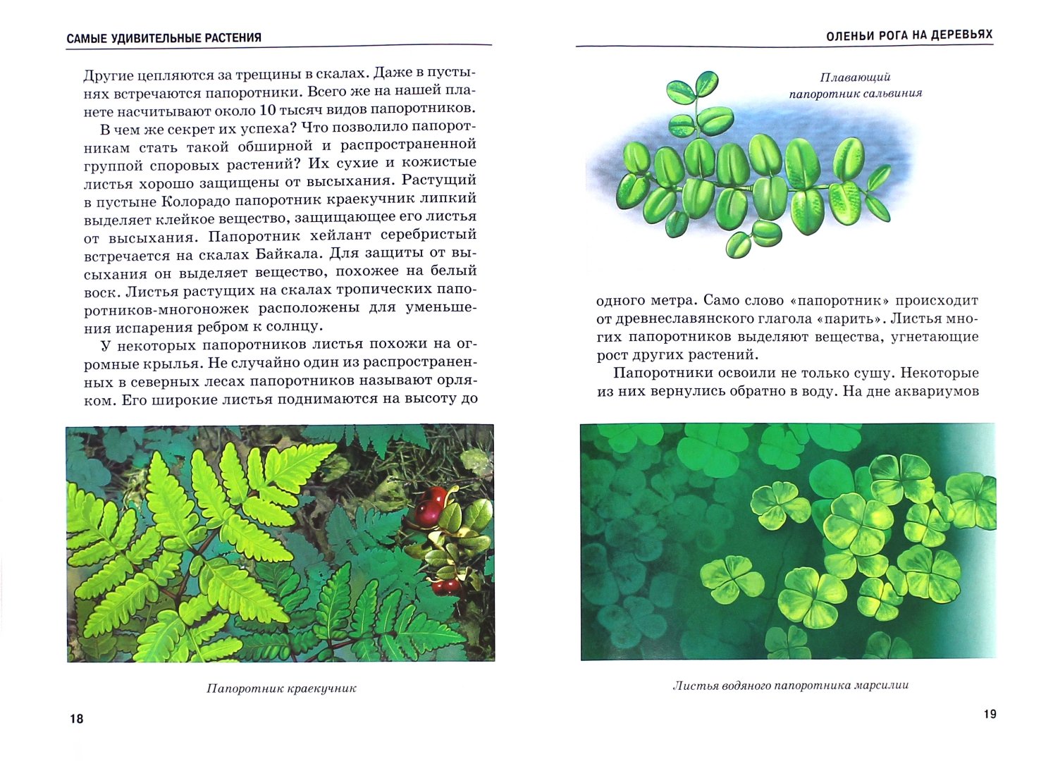 Иллюстрация 1 из 54 для Самые удивительные растения - Сергей Афонькин | Лабиринт - книги. Источник: Лабиринт