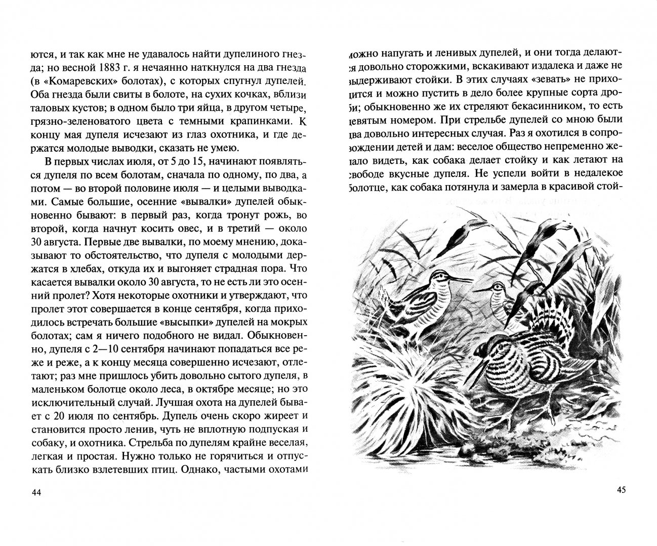 Иллюстрация 1 из 5 для Охота в болоте - Анатолий Савельев | Лабиринт - книги. Источник: Лабиринт