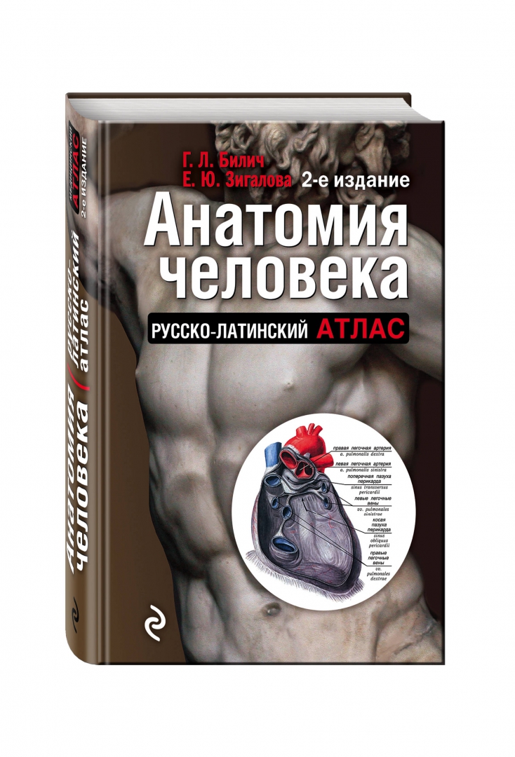 Иллюстрация 1 из 48 для Анатомия человека. Русско-латинский атлас - Билич, Зигалова | Лабиринт - книги. Источник: Лабиринт