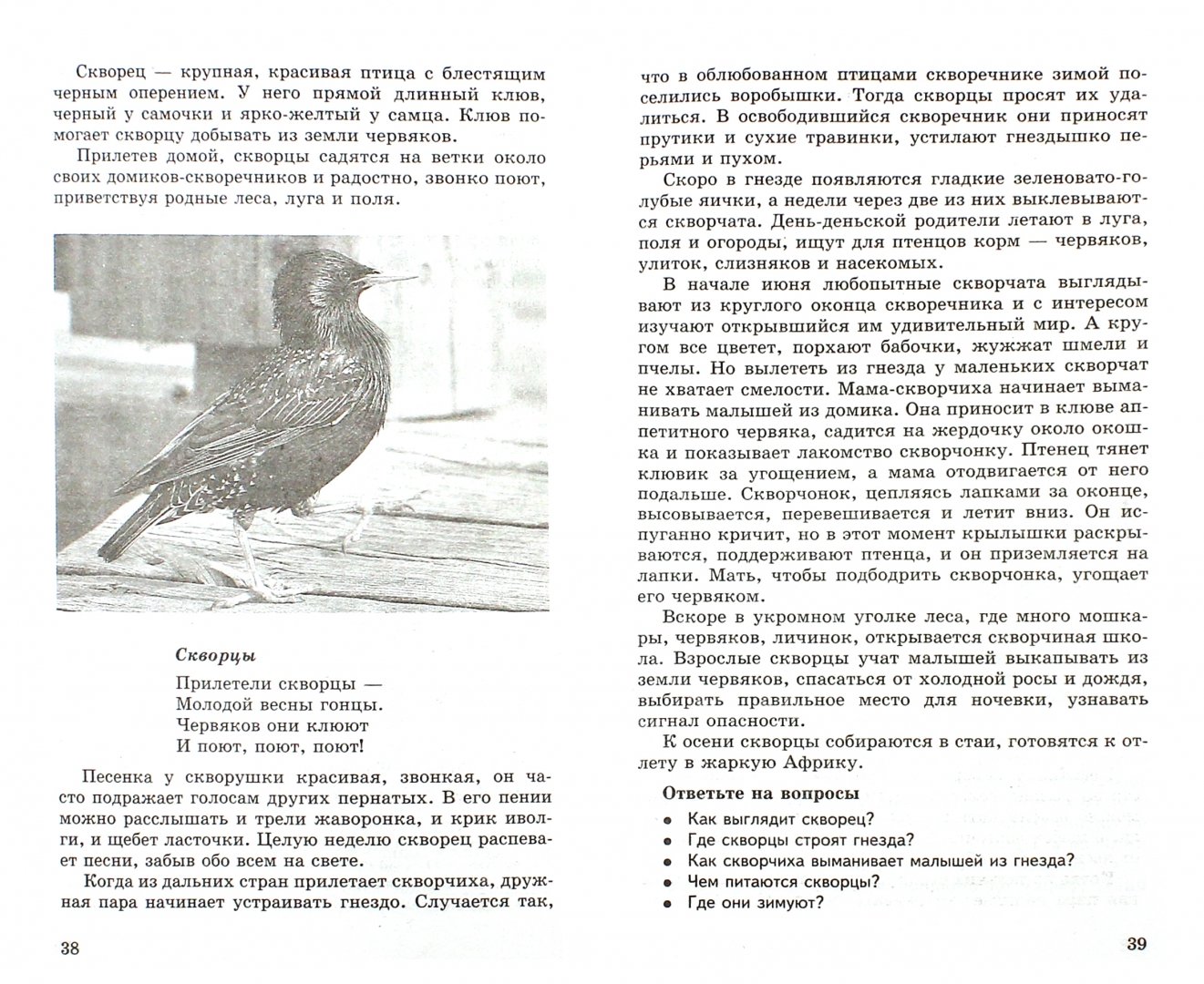 Иллюстрация 1 из 24 для Беседы о птицах с детьми 5-8 лет - Татьяна Шорыгина | Лабиринт - книги. Источник: Лабиринт