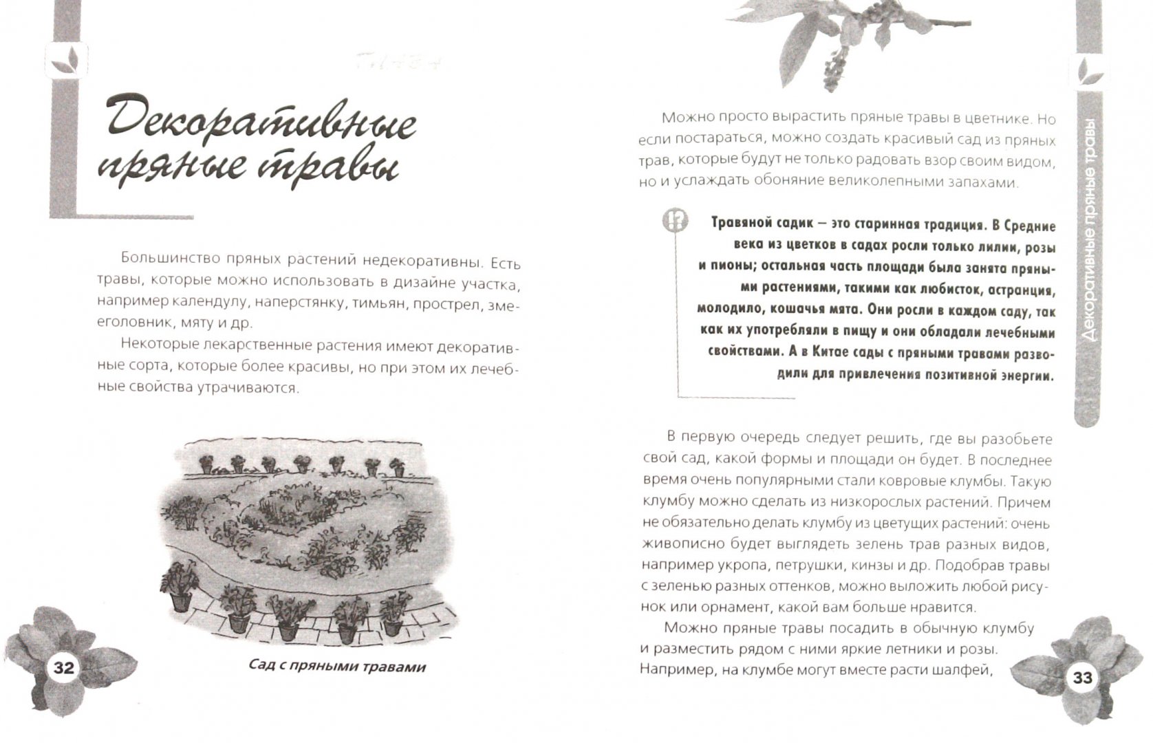 Иллюстрация 1 из 7 для Пряные травы на даче - Игорь Демин | Лабиринт - книги. Источник: Лабиринт