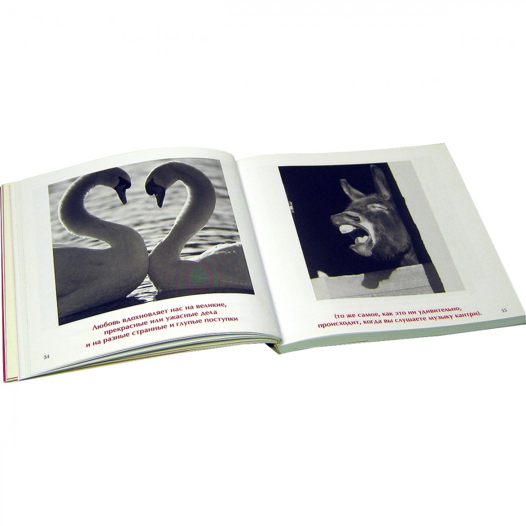 Иллюстрация 3 из 16 для Простая правда о любви - Бредли Грив | Лабиринт - книги. Источник: Лабиринт