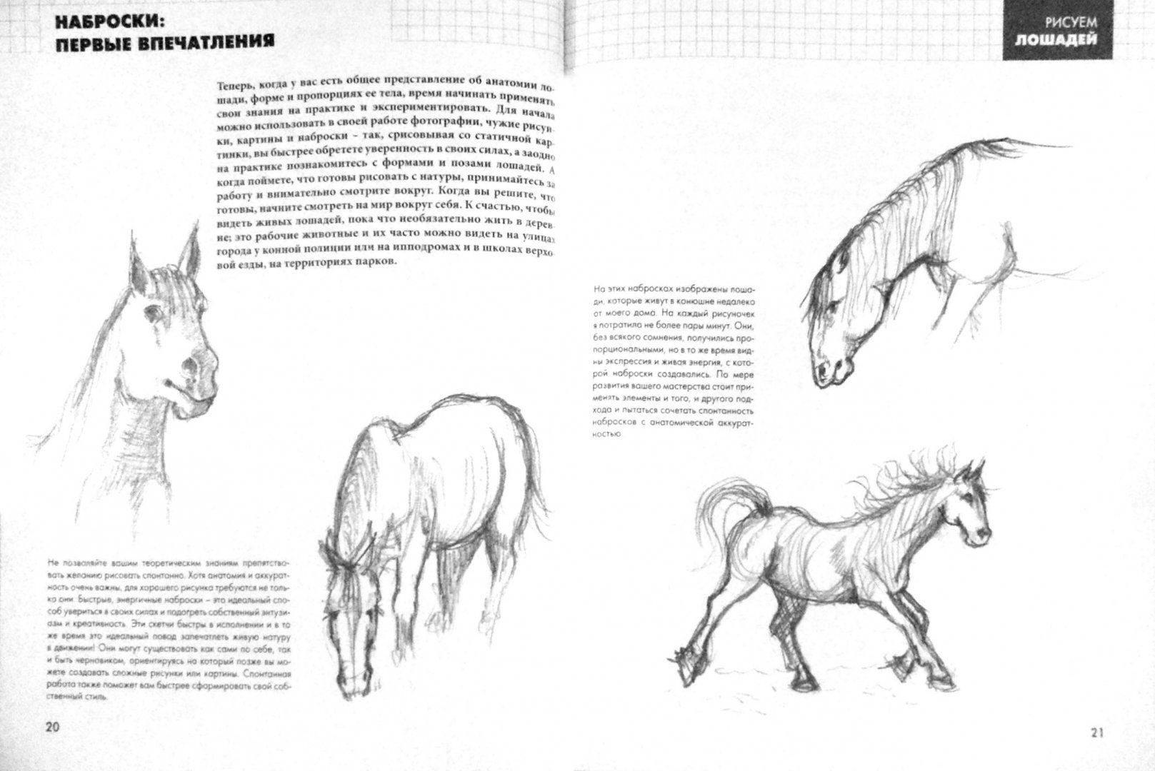 Иллюстрация 1 из 5 для Рисуем лошадей - Эйми Уилшер | Лабиринт - книги. Источник: Лабиринт
