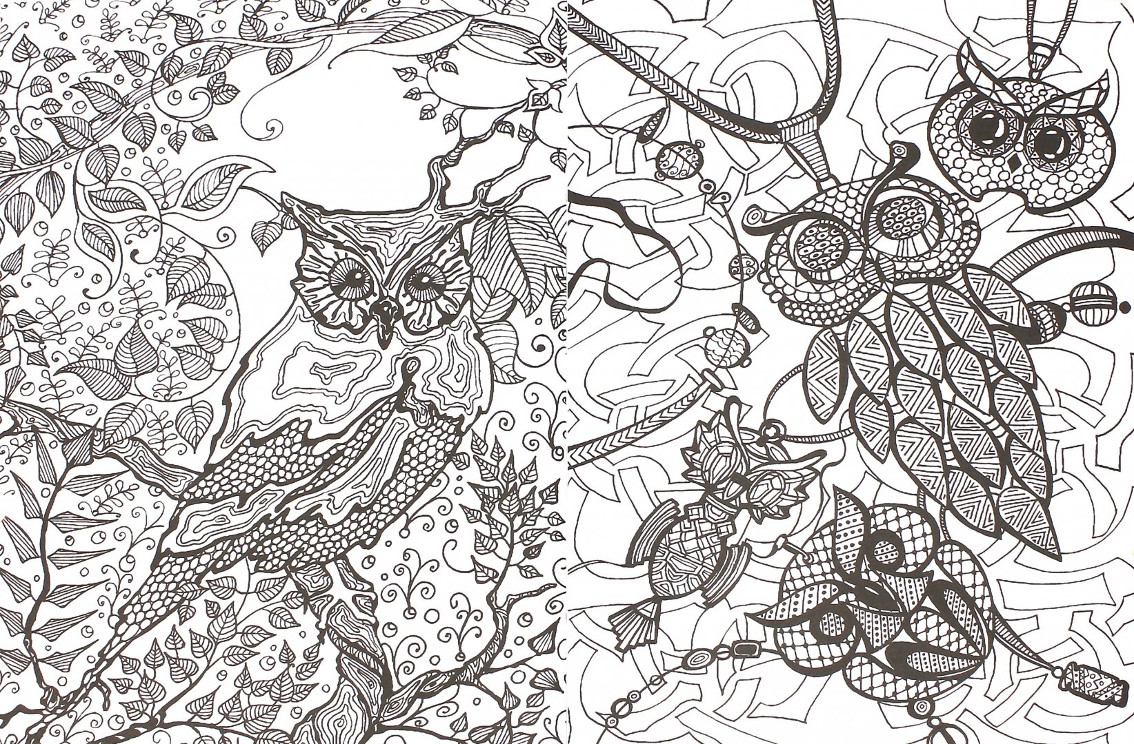 Иллюстрация 1 из 19 для Удивительные совы: книжка-раскраска | Лабиринт - книги. Источник: Лабиринт
