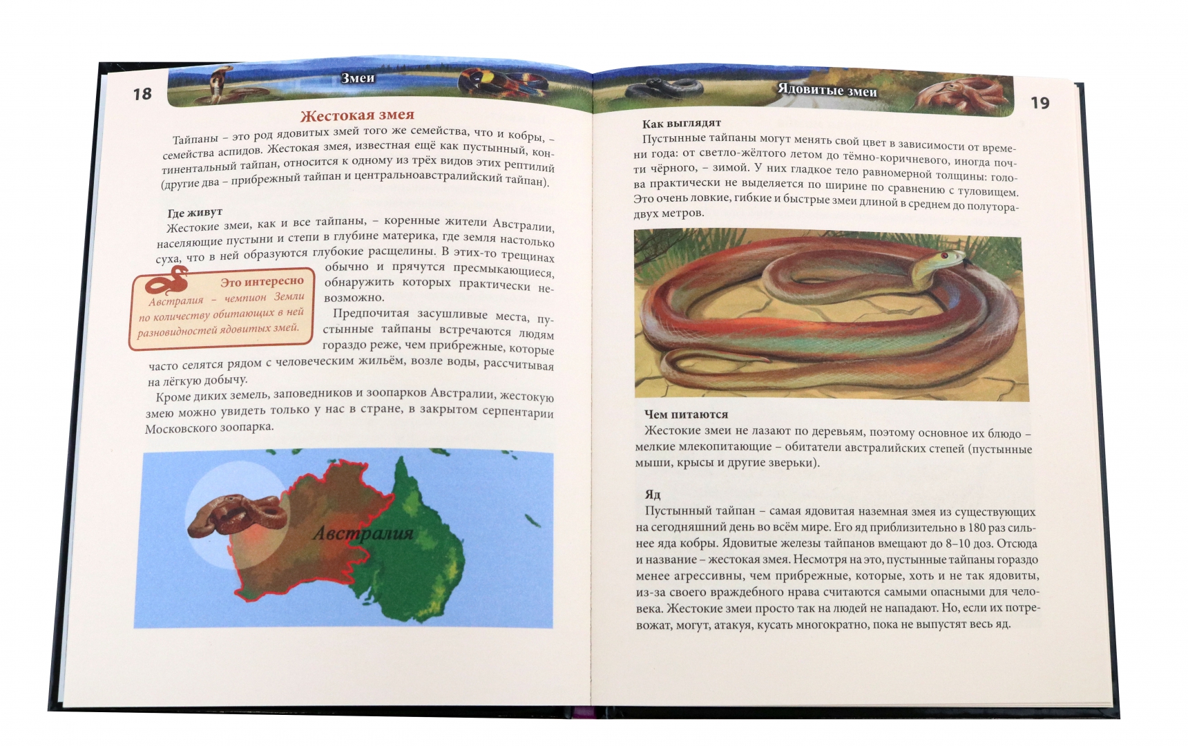 Иллюстрация 1 из 39 для Змеи - Екатерина Куруськина | Лабиринт - книги. Источник: Лабиринт