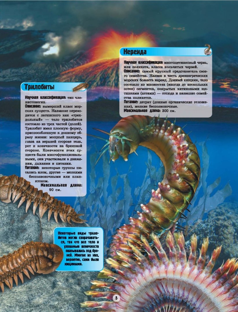 Иллюстрация 11 из 20 для Подводные обитатели - Вячеслав Ликсо | Лабиринт - книги. Источник: Лабиринт