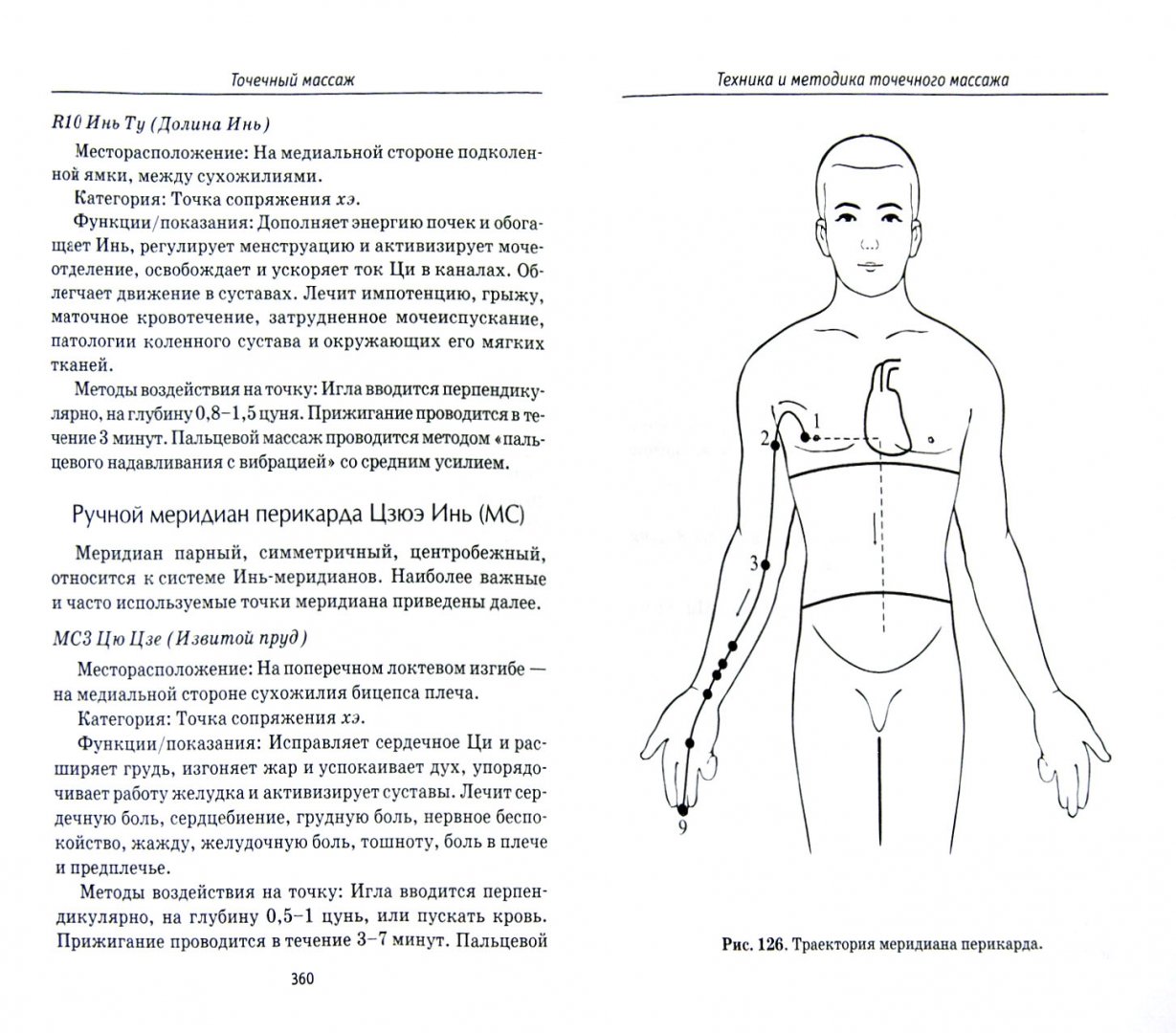 Иллюстрация 1 из 6 для Лечебный, косметический и точечный массаж. Полное руководство - Ингерлейб, Панаев, Морозова | Лабиринт - книги. Источник: Лабиринт