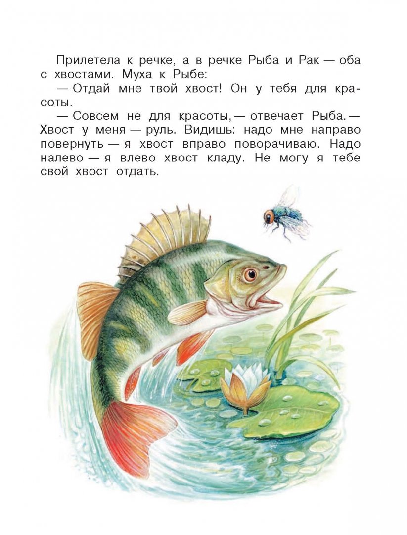 Иллюстрация 5 из 19 для Лесные сказки и истории - Бианки, Сладков, Пришвин | Лабиринт - книги. Источник: Лабиринт