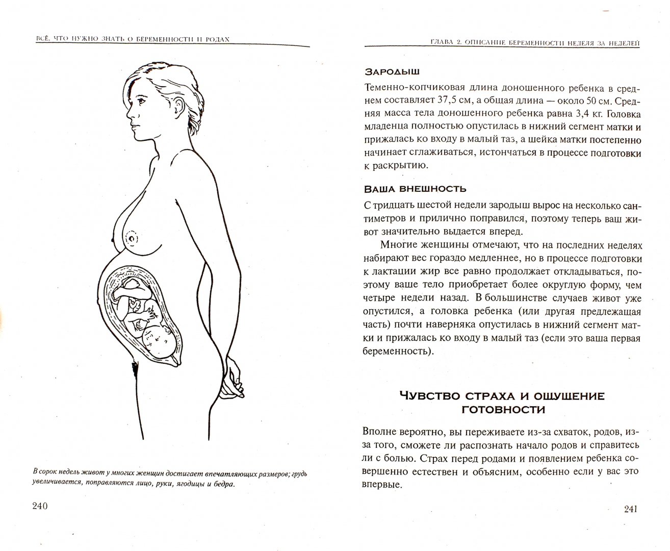 Иллюстрация 1 из 28 для Все, что нужно знать о беременности и родах - Адриана Хантер | Лабиринт - книги. Источник: Лабиринт