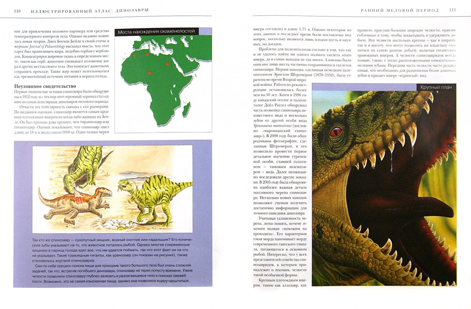 Иллюстрация 1 из 4 для Динозавры. Все самые грандиозные виды древнейших животных. Иллюстрированный атлас - Паула Хаммонд | Лабиринт - книги. Источник: Лабиринт