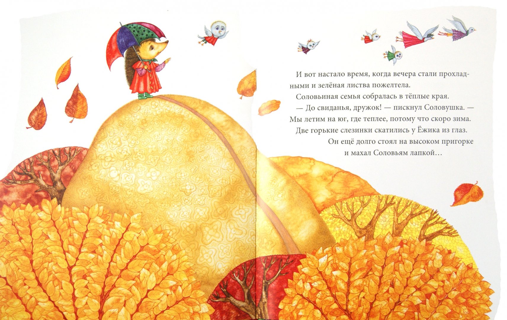 Иллюстрация 1 из 5 для Ежик и соловушка - Юрий Ярмыш | Лабиринт - книги. Источник: Лабиринт