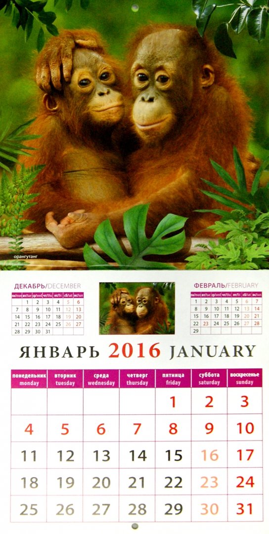 Иллюстрация 1 из 2 для Календарь настенный на 2016 год "Год обезьяны. Малыши" (30608) | Лабиринт - сувениры. Источник: Лабиринт