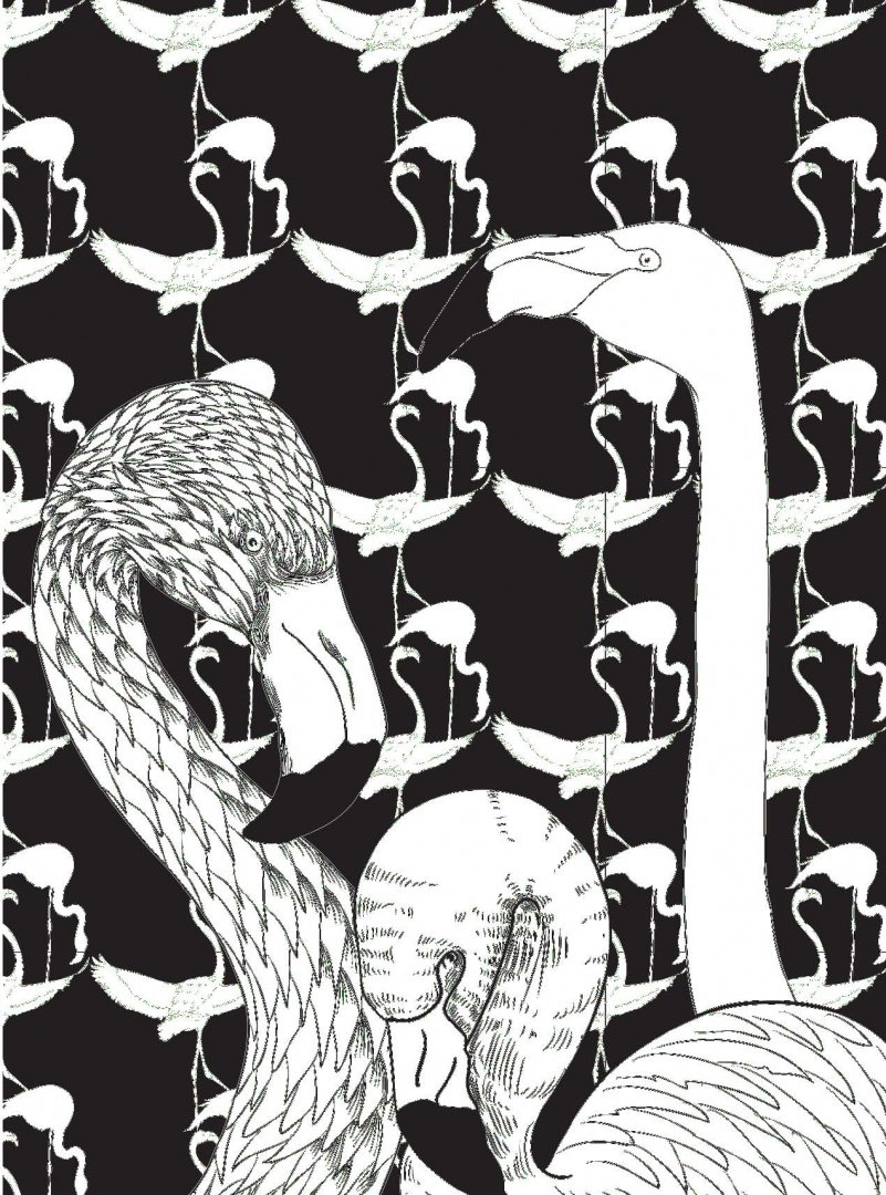 Иллюстрация 3 из 23 для Райские птицы. Раскраска-антистресс для творчества и вдохновения | Лабиринт - книги. Источник: Лабиринт