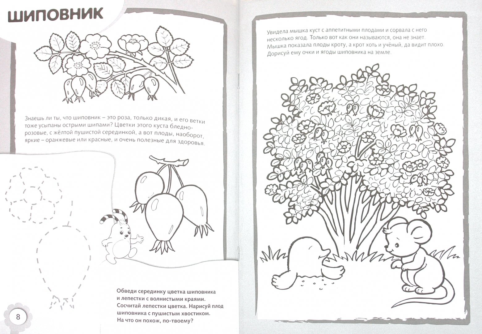 Иллюстрация 1 из 6 для Рисуем и раскрашиваем кустарники | Лабиринт - книги. Источник: Лабиринт
