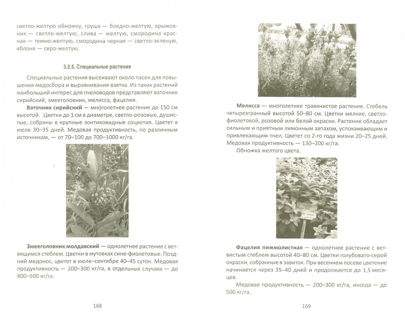 Иллюстрация 1 из 5 для Справочник пчеловода-практика - Валерий Корж | Лабиринт - книги. Источник: Лабиринт