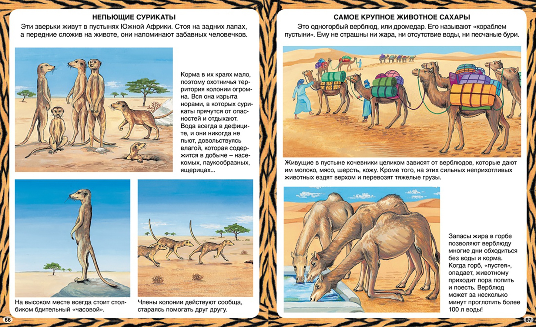 Иллюстрация 7 из 42 для Животные-рекордсмены - Эмили Бомон | Лабиринт - книги. Источник: Лабиринт