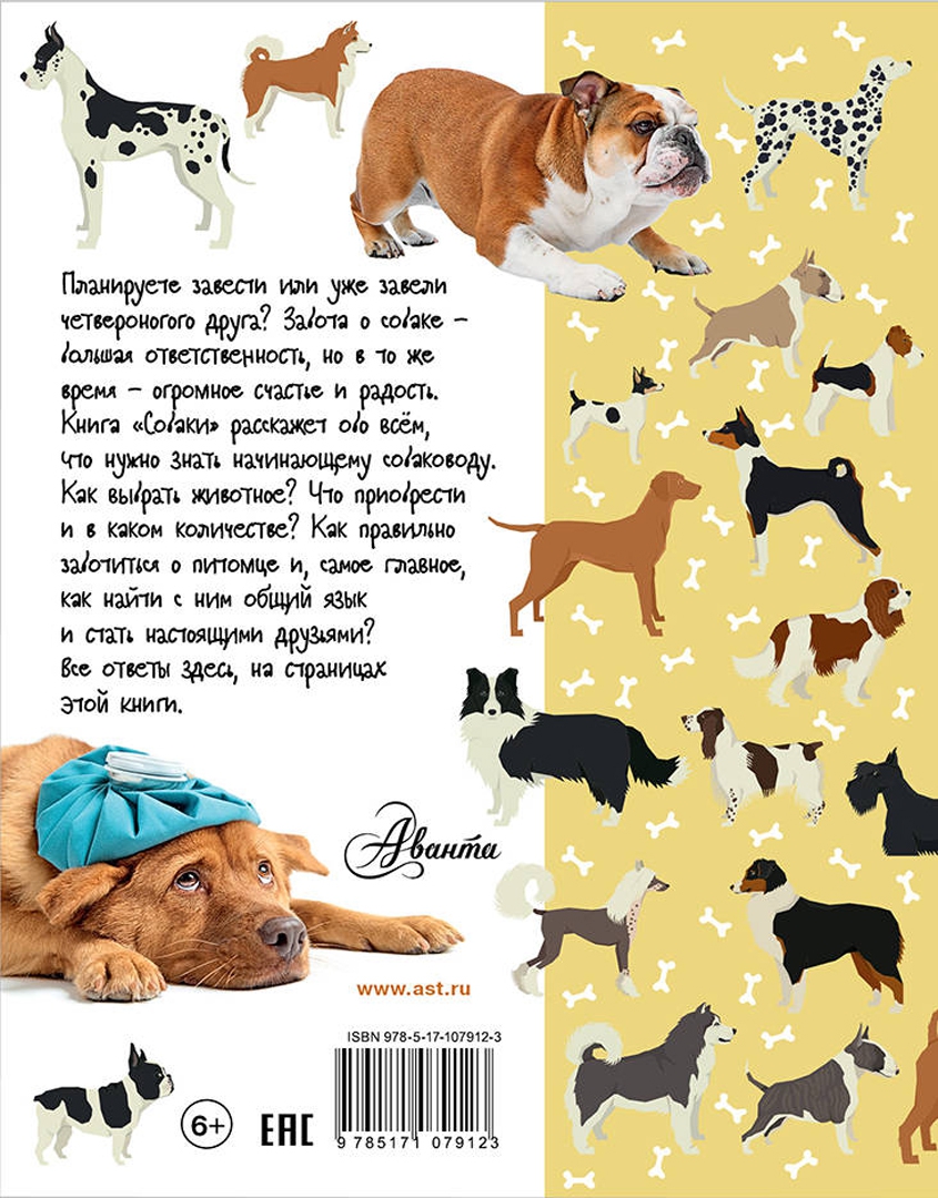 Иллюстрация 1 из 12 для Собаки - Анна Крылова | Лабиринт - книги. Источник: Лабиринт
