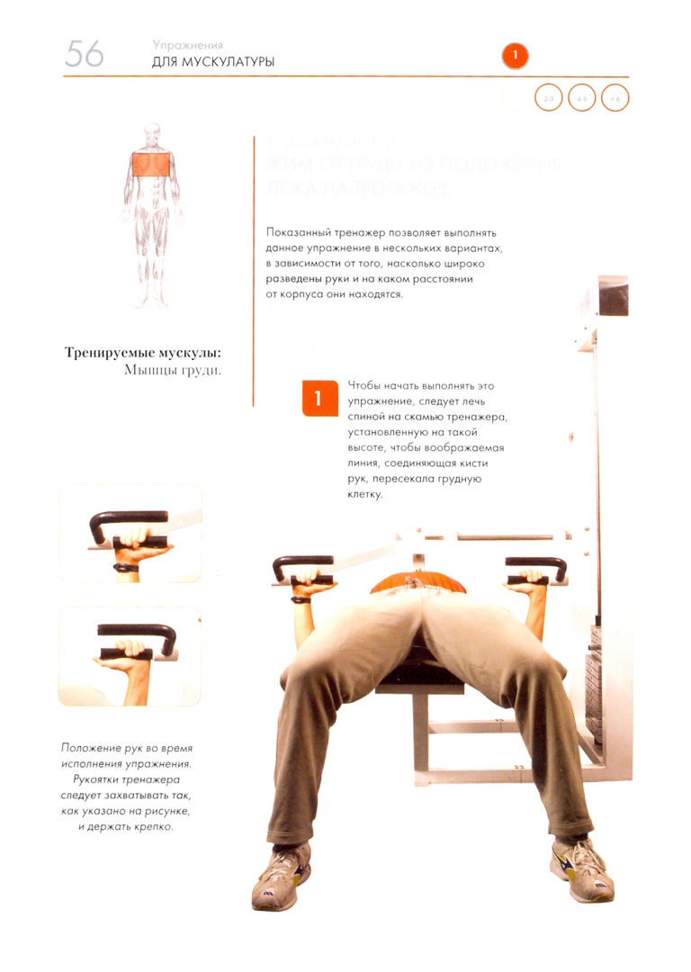 Иллюстрация 1 из 2 для Упражнения для мускулатуры - Фелипе Симон | Лабиринт - книги. Источник: Лабиринт