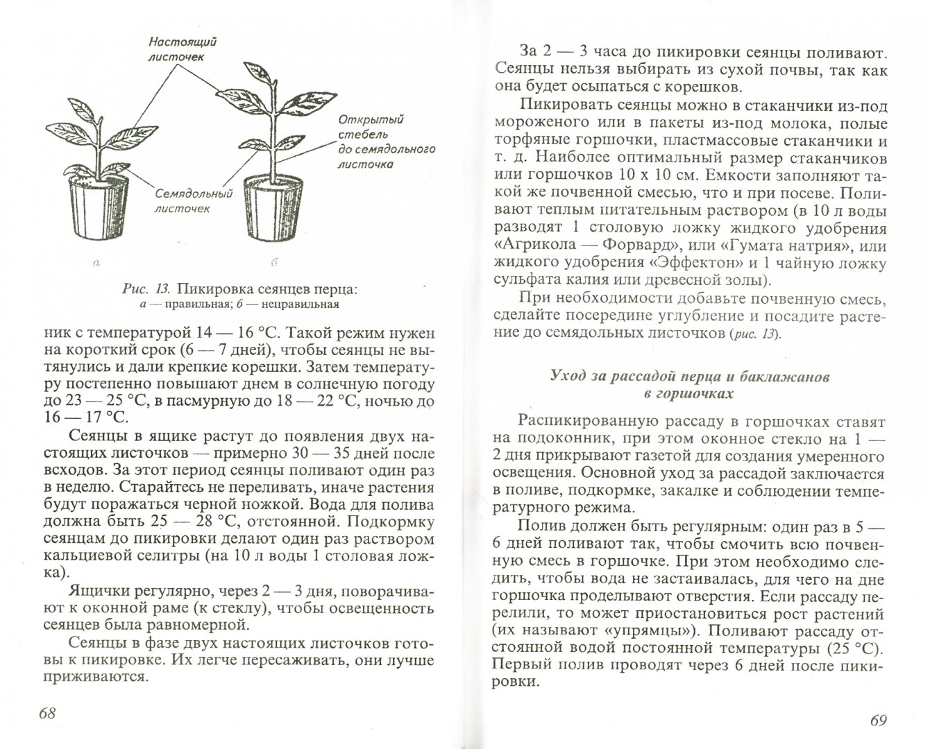 Иллюстрация 1 из 10 для Ранние овощи - Ганичкина, Ганичкин | Лабиринт - книги. Источник: Лабиринт