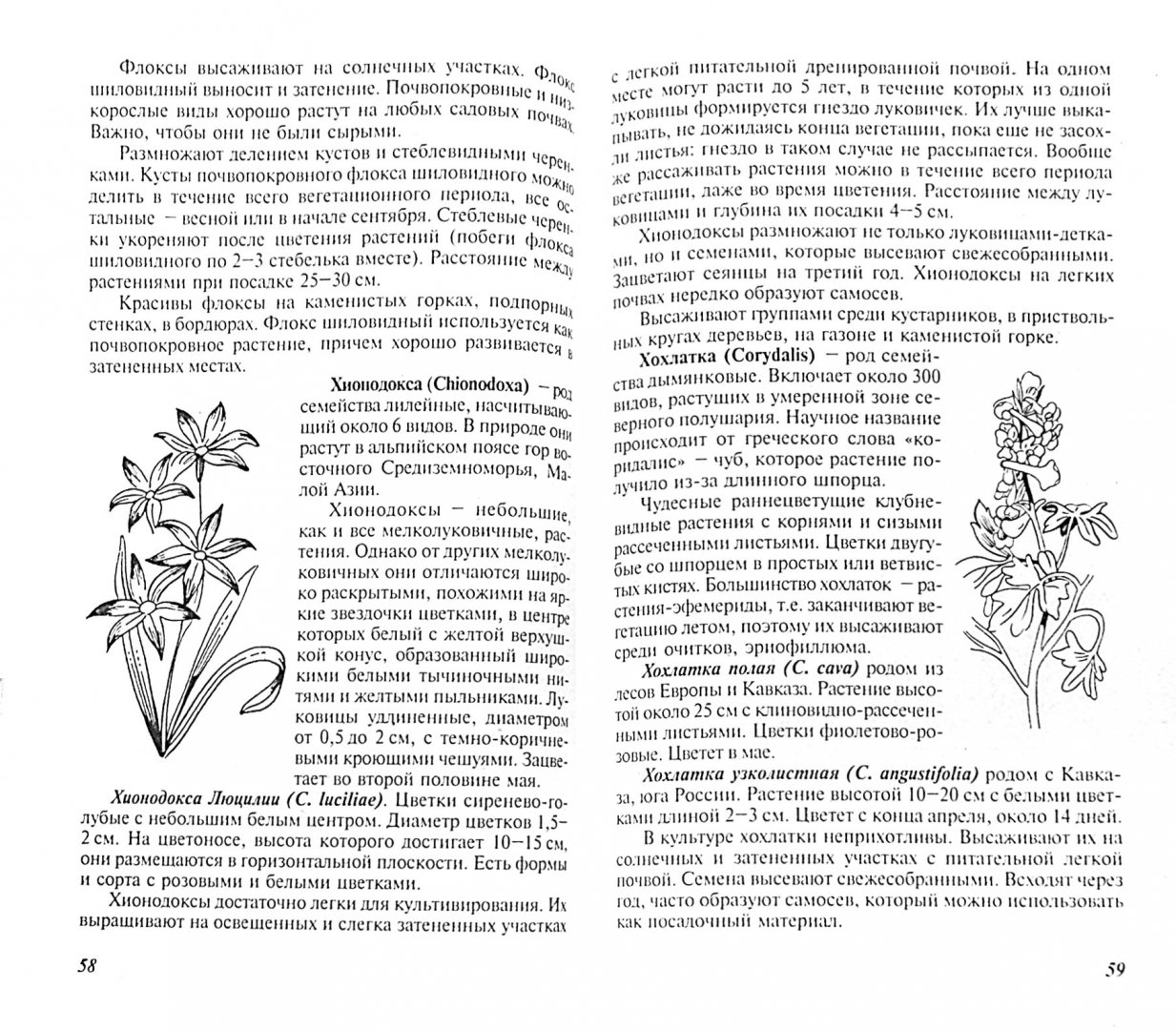 Иллюстрация 1 из 15 для Многолетние цветы для вашего сада - Наталья Лунина | Лабиринт - книги. Источник: Лабиринт