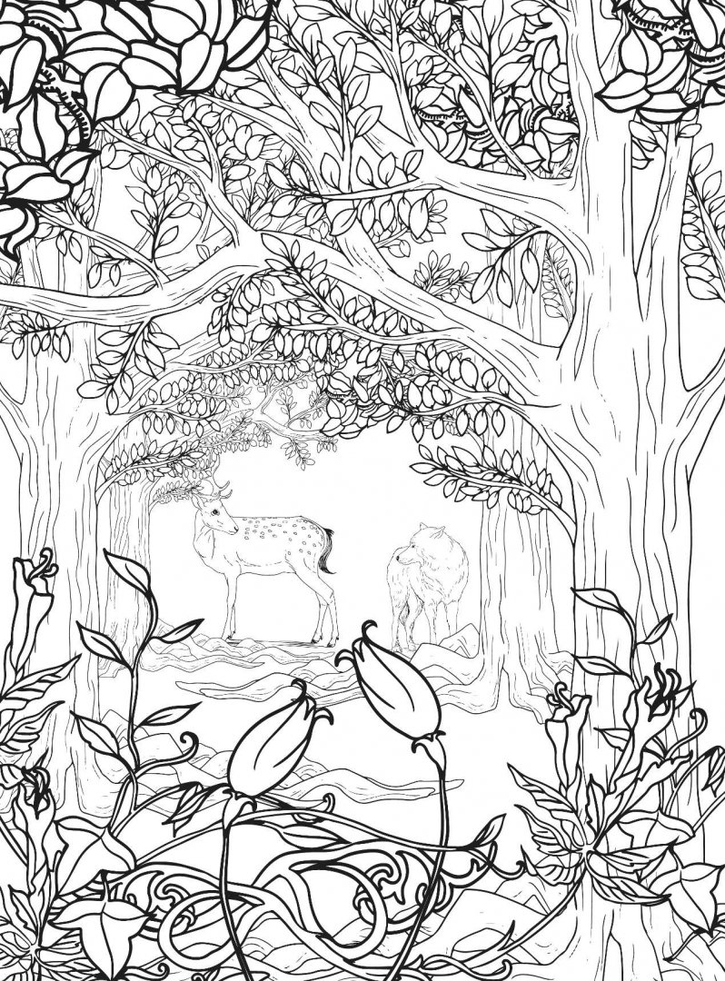 Иллюстрация 8 из 31 для Заколдованный лес. Раскраска-антистресс для творчества и вдохновения | Лабиринт - книги. Источник: Лабиринт