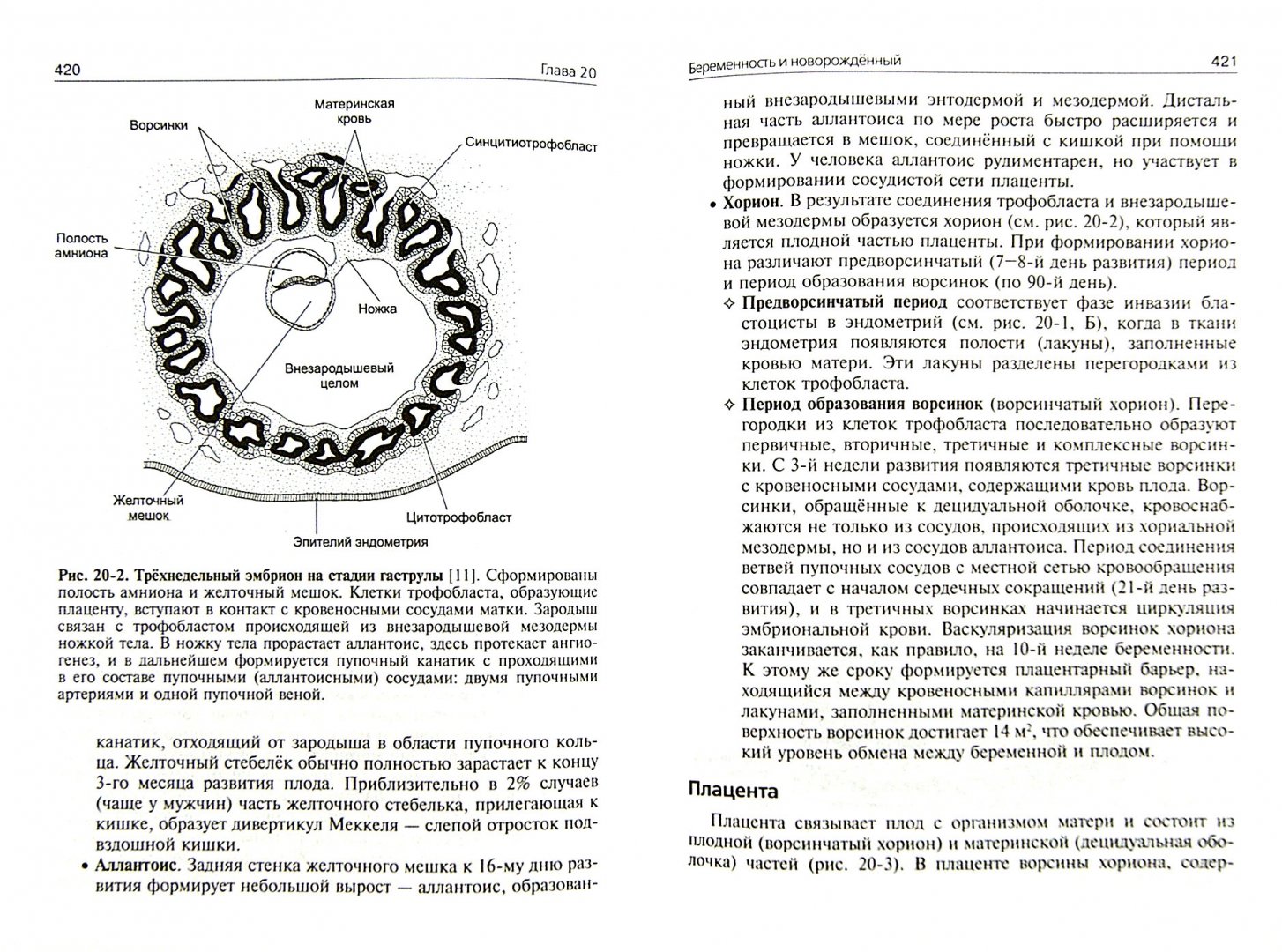 Иллюстрация 1 из 52 для Нормальная физиология. Учебник (+CD) - Ратмир Орлов | Лабиринт - книги. Источник: Лабиринт