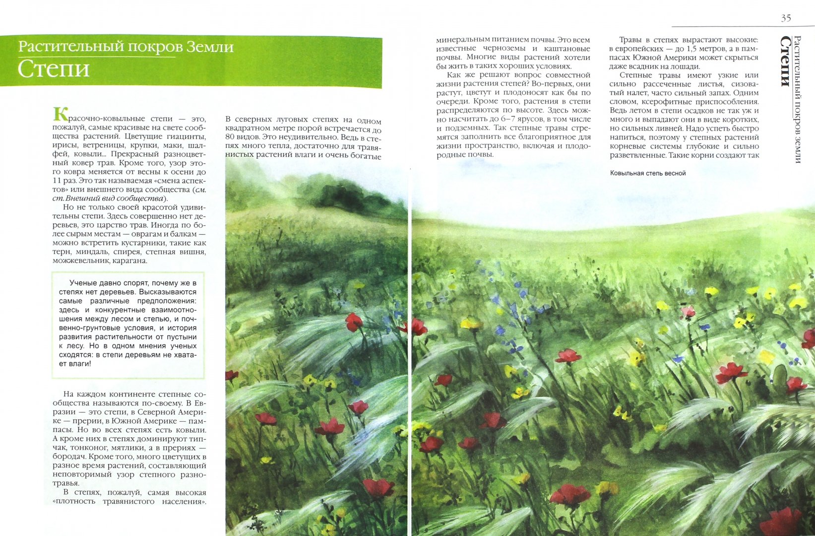 Иллюстрация 1 из 20 для Растительный покров Земли | Лабиринт - книги. Источник: Лабиринт