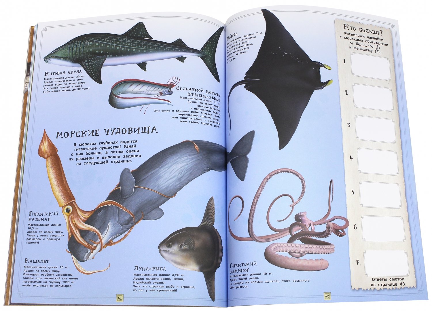 Иллюстрация 4 из 28 для Занимательная зоология. Жизнь океанов - Полли Чизман | Лабиринт - книги. Источник: Лабиринт