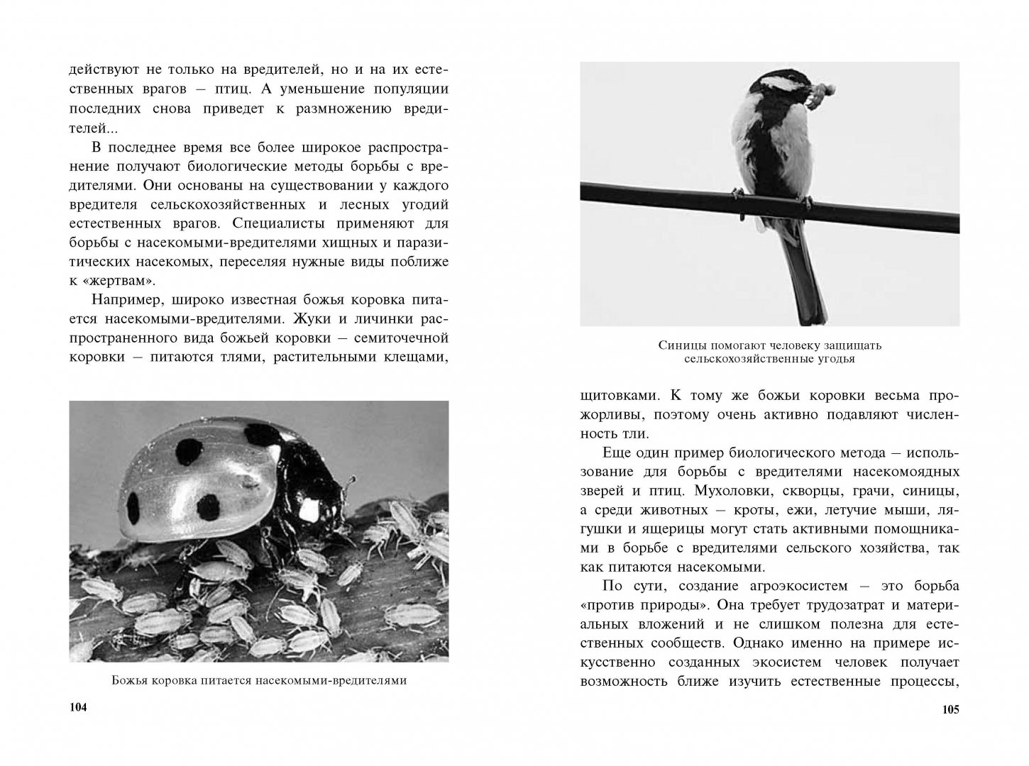 Иллюстрация 2 из 32 для Удивительная экология - Оксана Ларина | Лабиринт - книги. Источник: Лабиринт