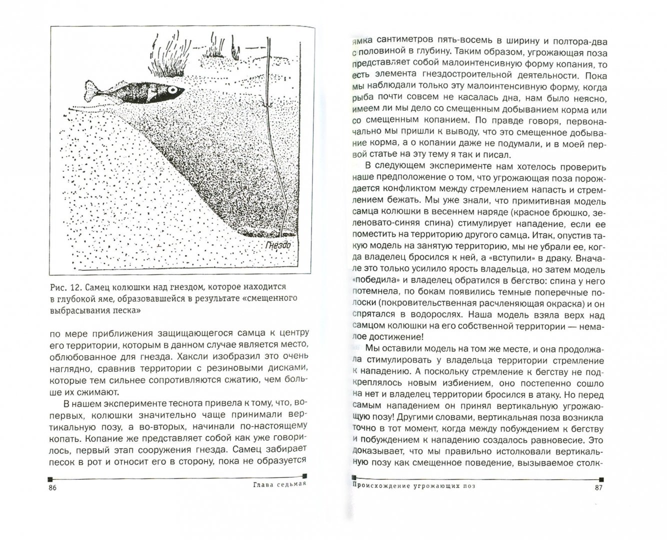 Иллюстрация 1 из 34 для Мир серебристой чайки - Нико Тинберген | Лабиринт - книги. Источник: Лабиринт