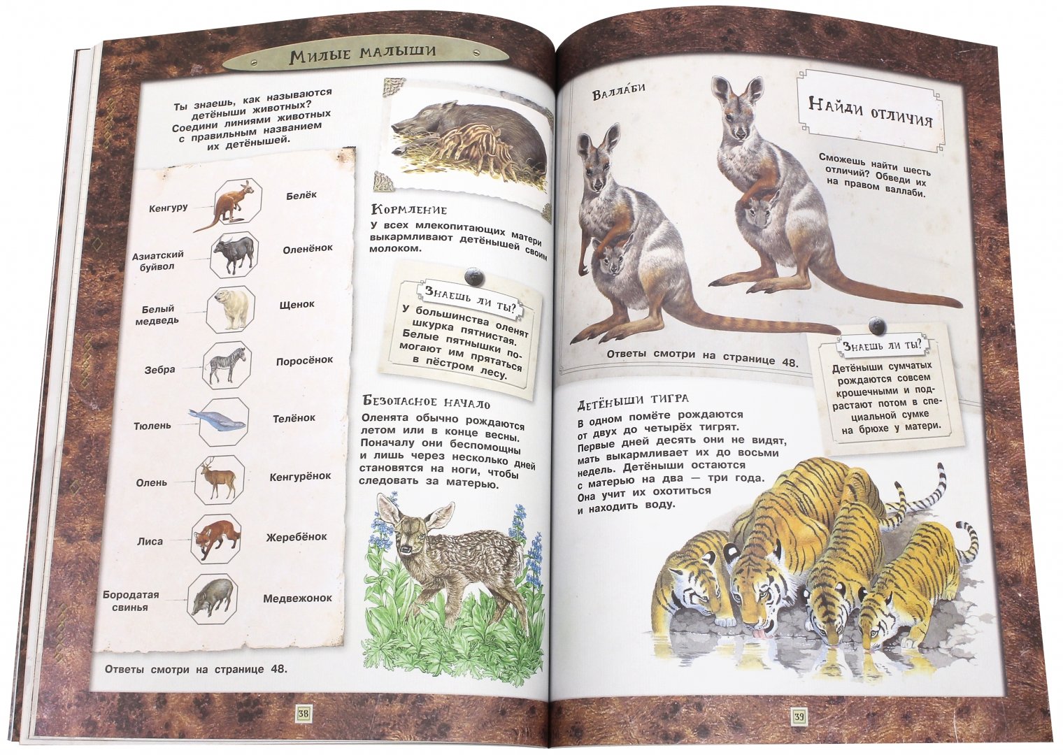 Иллюстрация 4 из 23 для Занимательная зоология. Животные - Вики Эган | Лабиринт - книги. Источник: Лабиринт