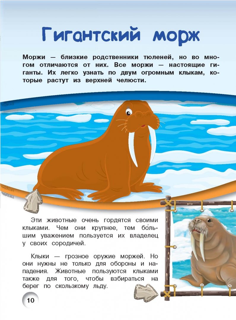 Иллюстрация 7 из 22 для Животные - Ирина Барановская | Лабиринт - книги. Источник: Лабиринт