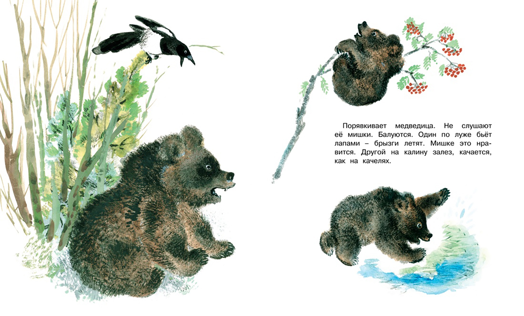 Иллюстрация 7 из 61 для Друзья - Евгений Чарушин | Лабиринт - книги. Источник: Лабиринт